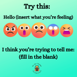 Try this: Hello (insert what you are feeling). I think you are trying to tell me: (fill in the blank.)